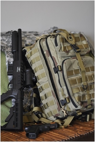 Picture for category Assault Bags