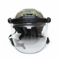 Imagen de ARC Protection visor 