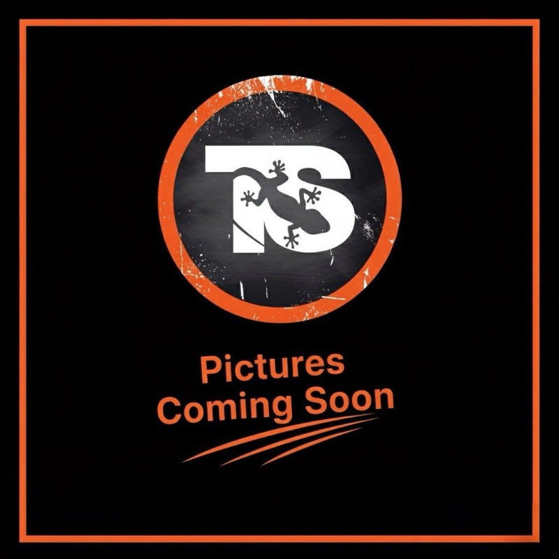 Picture of Slim TS Placard - Camo 