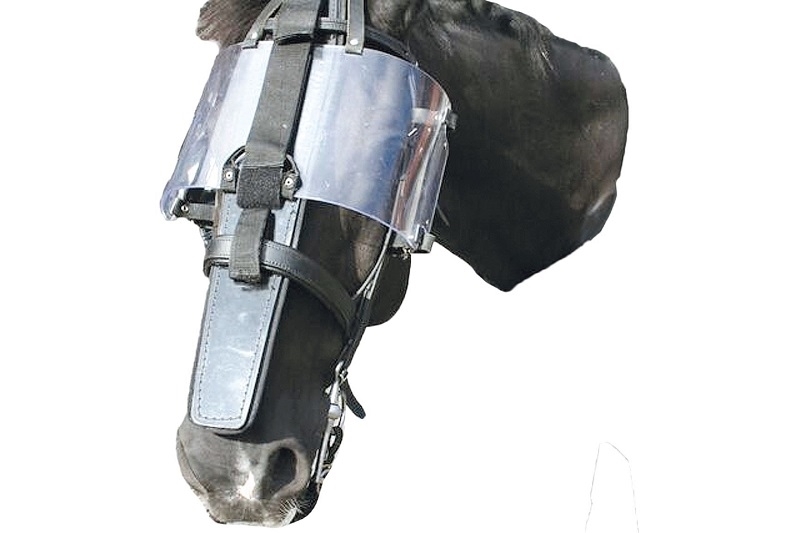 Picture of C.P.E Horse nose guard visor set