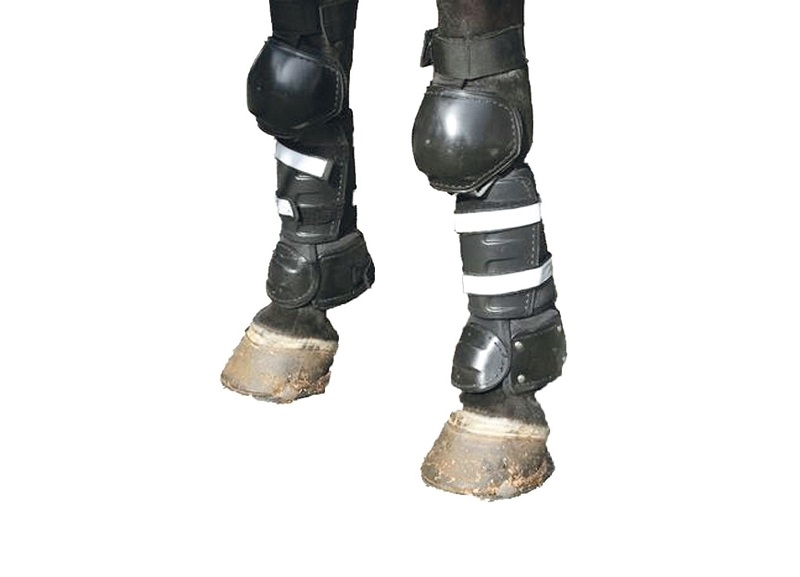 Picture of C.P.E Horse Front Leg Protection