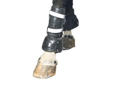 Imagen de C.P.E Horse Rear Leg Protection