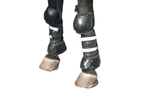 Picture of C.P.E Horse Front & Rear Leg Protection