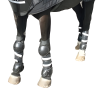 Picture of C.P.E Horse Front & Rear Leg Protection