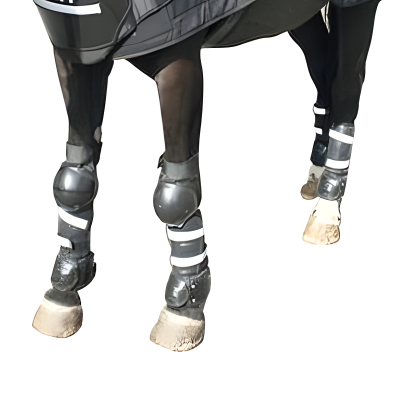 Picture of C.P.E Horse Front & Rear Leg Protection