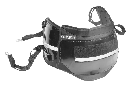 Imagen de C.P.E Horse Chest Protection