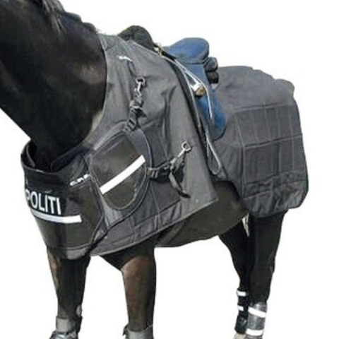 Imagen de C.P.E Horse blanket