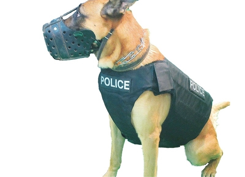 Picture of C.P.E Dog vest