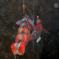 Imagen de Kong 911 CAVE