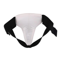 Picture of Century TKD Male Groin Protector