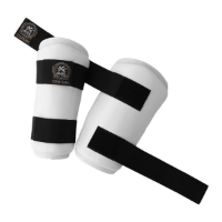 Picture of Century World Elite Forearm Guard
